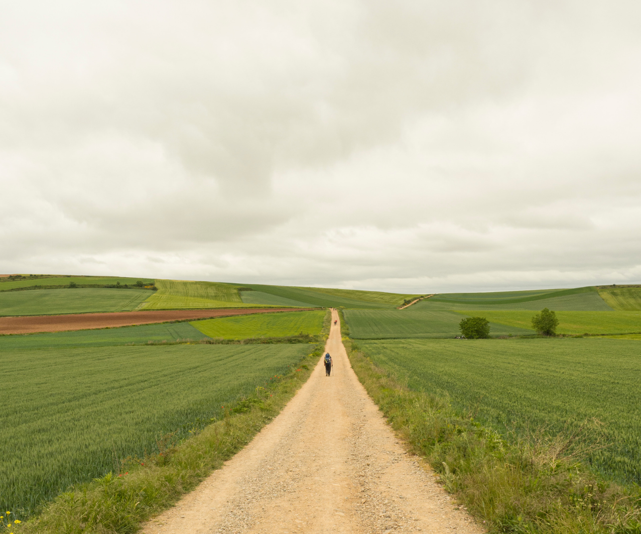 Pèlerinage à Vézelay